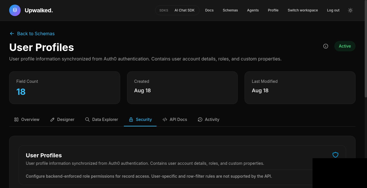 Schema security and role permissions